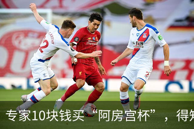 专家10块钱买“阿房宫杯”，得知是国宝却找不到农民卖家，留下终身遗憾
