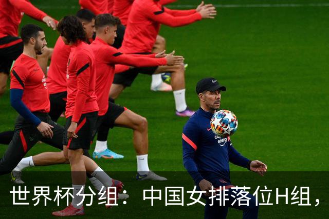 世界杯分组：中国女排落位H组，淘汰赛或迎战美加，冲奥机会来了