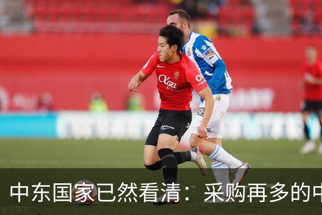 中东国家已然看清：采购再多的中国先进武器，也难以换来长久安全