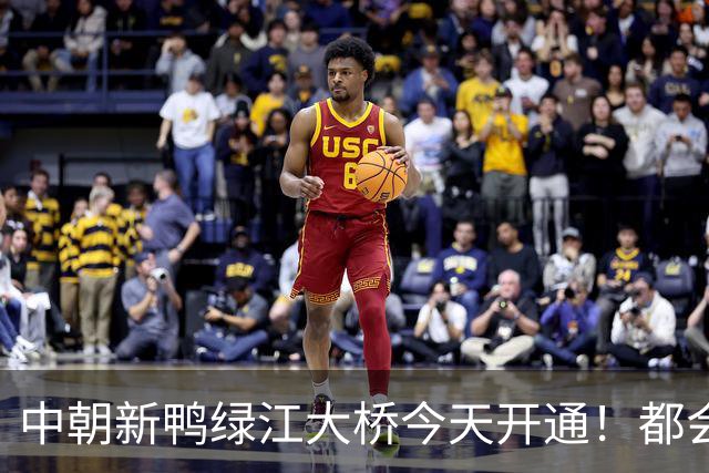 中朝新鸭绿江大桥今天开通！都会运点儿什么？