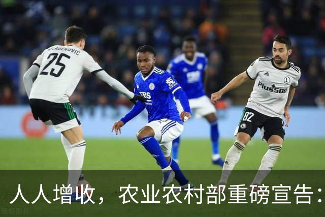 人人增收，农业农村部重磅宣告：农村房屋可出租，宅基地要盘活了