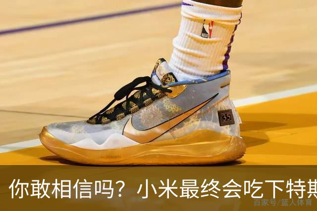 你敢相信吗？小米最终会吃下特斯拉中国的全部市场份额！