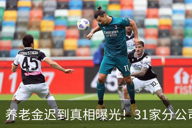 养老金迟到真相曝光！31家分公司正在合并，看完心里有数了