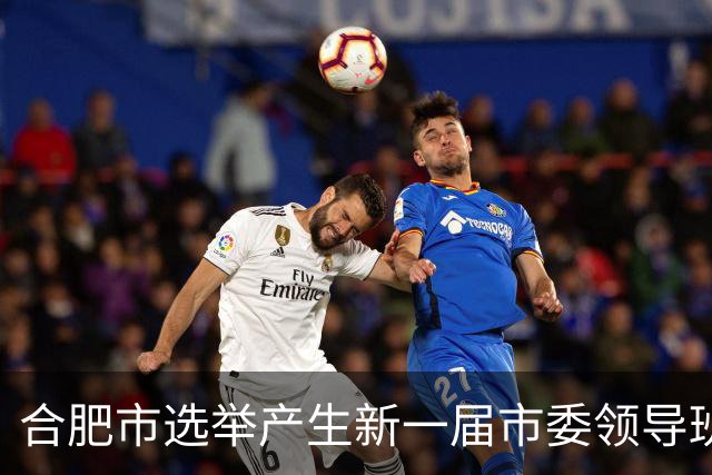 合肥市选举产生新一届市委领导班子，名单公布