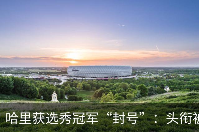 哈里获选秀冠军“封号”：头衔被收回，却意外赢得更珍贵的东西