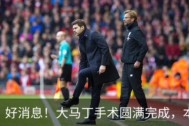 好消息！大马丁手术圆满完成，本人透露几周之后就将回归赛场