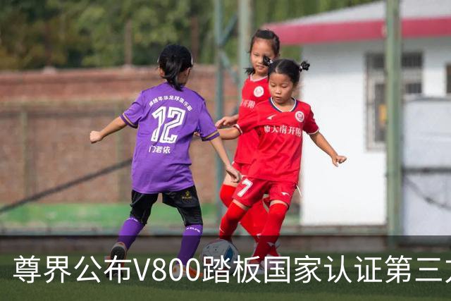 尊界公布V800踏板国家认证第三方检测：3000N加严测试无裂纹损坏