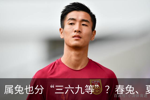 属兔也分“三六九等”？春兔、夏兔、秋兔、冬兔，差距到底在哪里