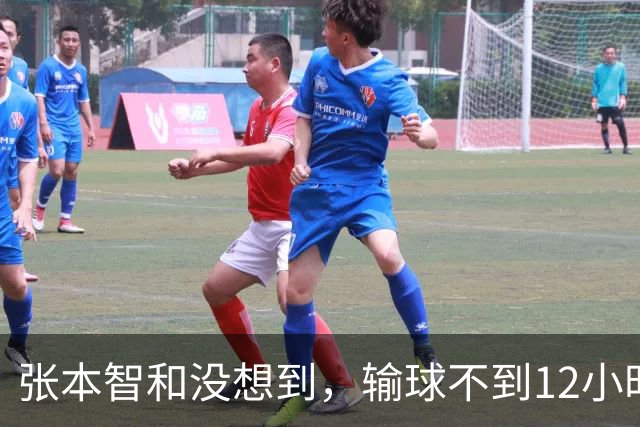 张本智和没想到，输球不到12小时，王楚钦因一举动，扭转了口碑