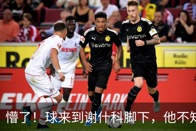 懵了！球来到谢什科脚下，他不知道要干嘛结果被断