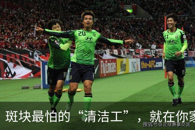 斑块最怕的“清洁工”，就在你家厨房！一天吃两口，血管干干净净