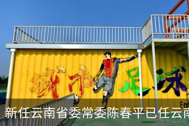 新任云南省委常委陈春平已任云南省常务副省长