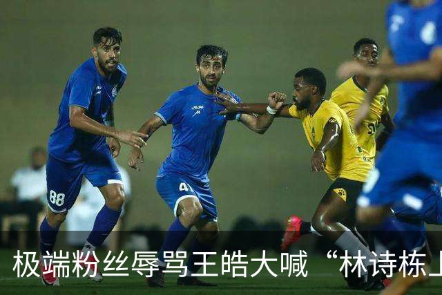 极端粉丝辱骂王皓大喊“林诗栋上一单”！王皓愤怒报警 拍照取证