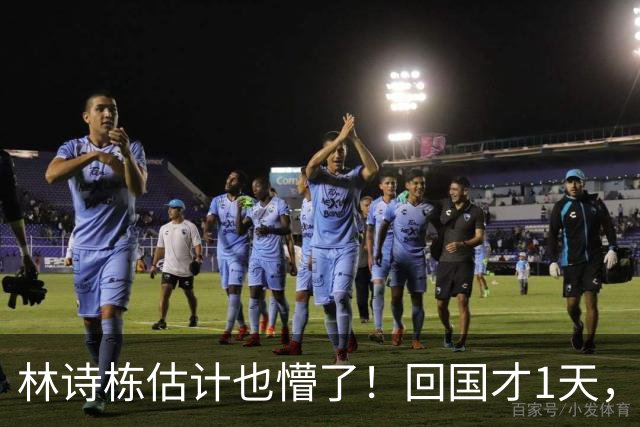 林诗栋估计也懵了！回国才1天，王楚钦竟比三金得主先拿到大合同