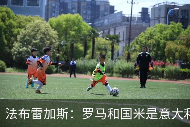 法布雷加斯：罗马和国米是意大利最强两队，我会看两队的对决