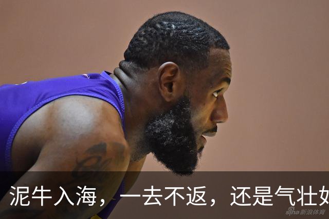 泥牛入海，一去不返，还是气壮如牛，卷土重来？这些新星给出了答案