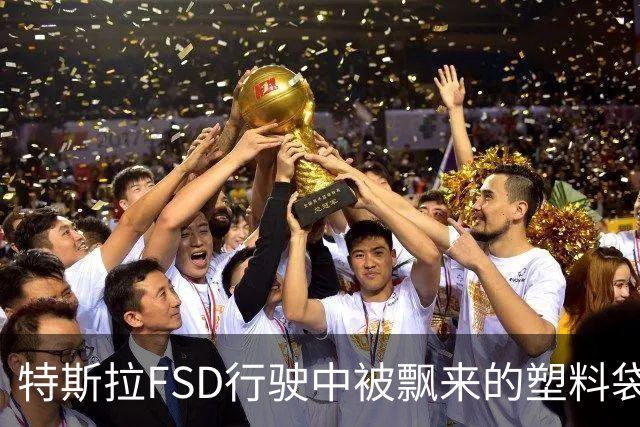 特斯拉FSD行驶中被飘来的塑料袋逼停：又遭后方卡车追尾