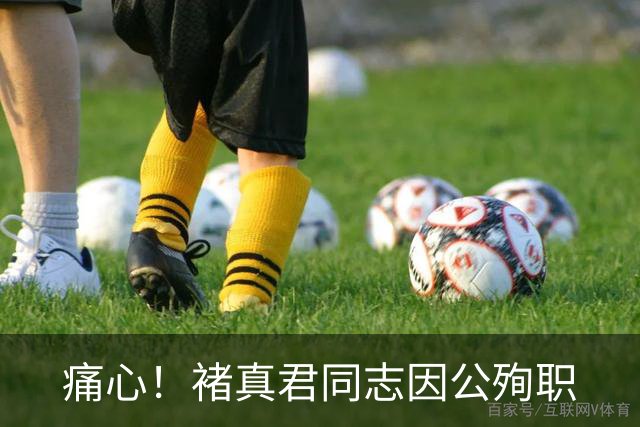 痛心！褚真君同志因公殉职