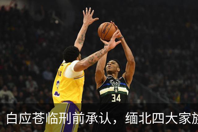 白应苍临刑前承认，缅北四大家族最大失算，中方这次来真的