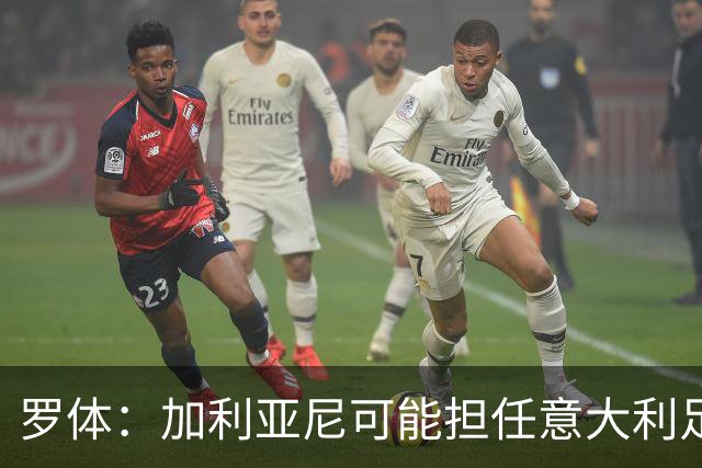 罗体：加利亚尼可能担任意大利足协托管人