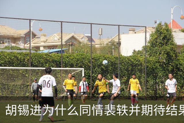 胡锡进为什么同情裴轶并期待结果反转？