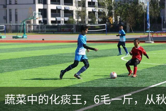 蔬菜中的化痰王，6毛一斤，从秋吃到冬，排出身体陈年痰湿