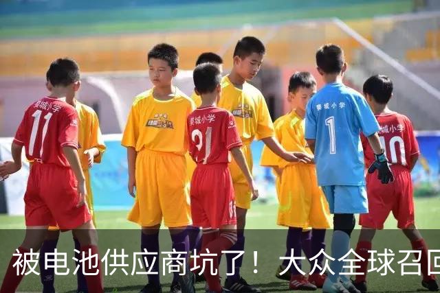 被电池供应商坑了！大众全球召回近7.27万辆电动车