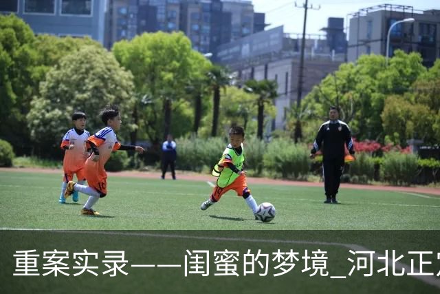 重案实录——闺蜜的梦境 河北正定滹沱河埋尸案始末