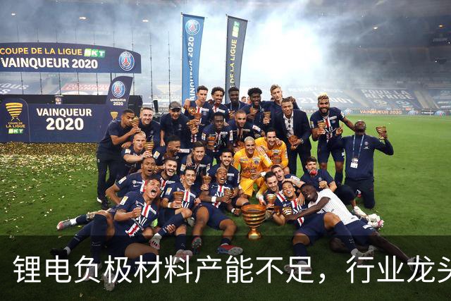 锂电负极材料产能不足，行业龙头杉杉股份拟定增募资不超40亿元加码产能等，海螺集团将全额认购