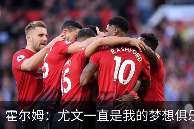 霍尔姆：尤文一直是我的梦想俱乐部，因伤离开我感到非常遗憾