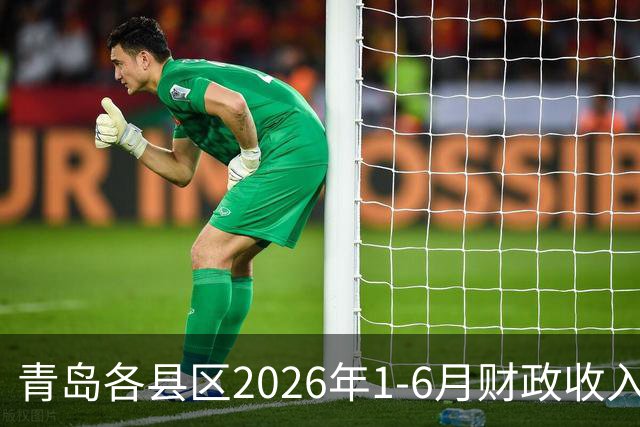 青岛各县区2026年1-6月财政收入：胶州市升至第四，市南区李沧区大涨