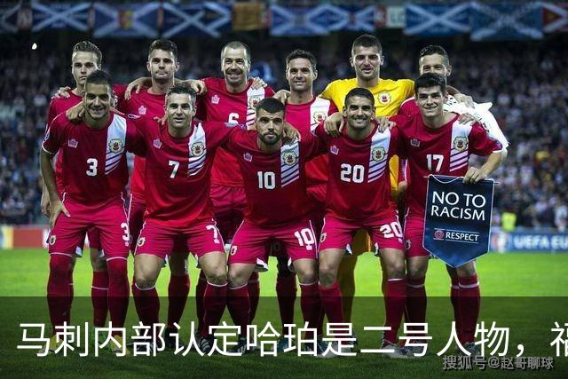 马刺内部认定哈珀是二号人物，福克斯和卡斯尔都得让位？