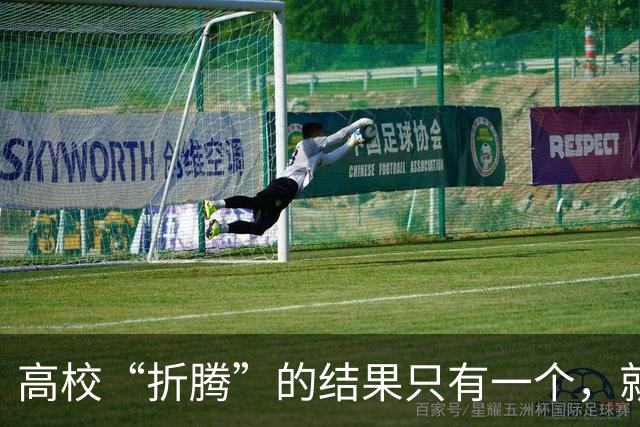 高校“折腾”的结果只有一个，就是老师们都不务正业了……