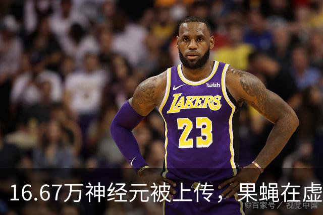 16.67万神经元被上传，果蝇在虚拟世界沦为赛博奴工