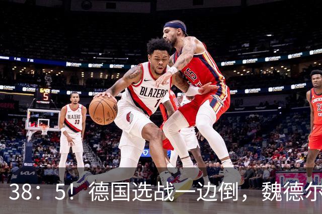 38：5！德国选战一边倒，魏德尔压倒性大胜，中德走向迎来新拐点