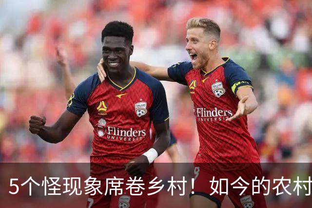 5个怪现象席卷乡村！如今的农村，早已不是老一辈熟悉的模样