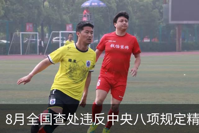 8月全国查处违反中央八项规定精神问题29171起
